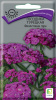 Гвоздика Турецкая Фиолетовая гора ПОИСК 0,25 гр (Мн)®