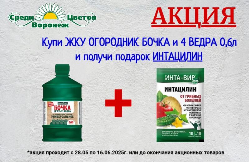 БИОФУНГИЦИД ИНТАЦИЛИН В ПОДАРОК при покупке Бочка и 4 ведра 0,6л
