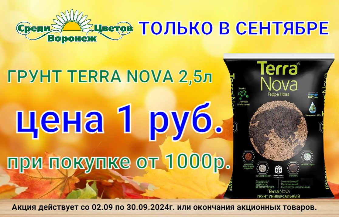 ГРУНТ TERRA NOVA за 1 руб.